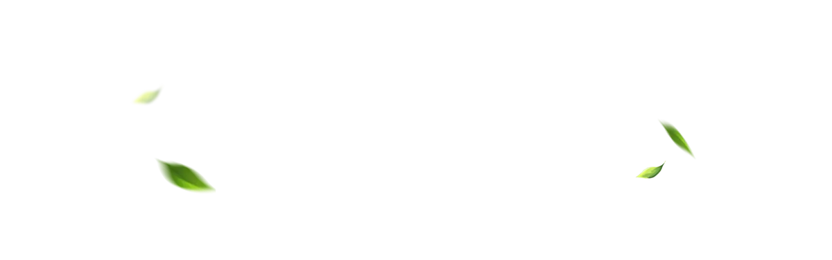 Offres groupées